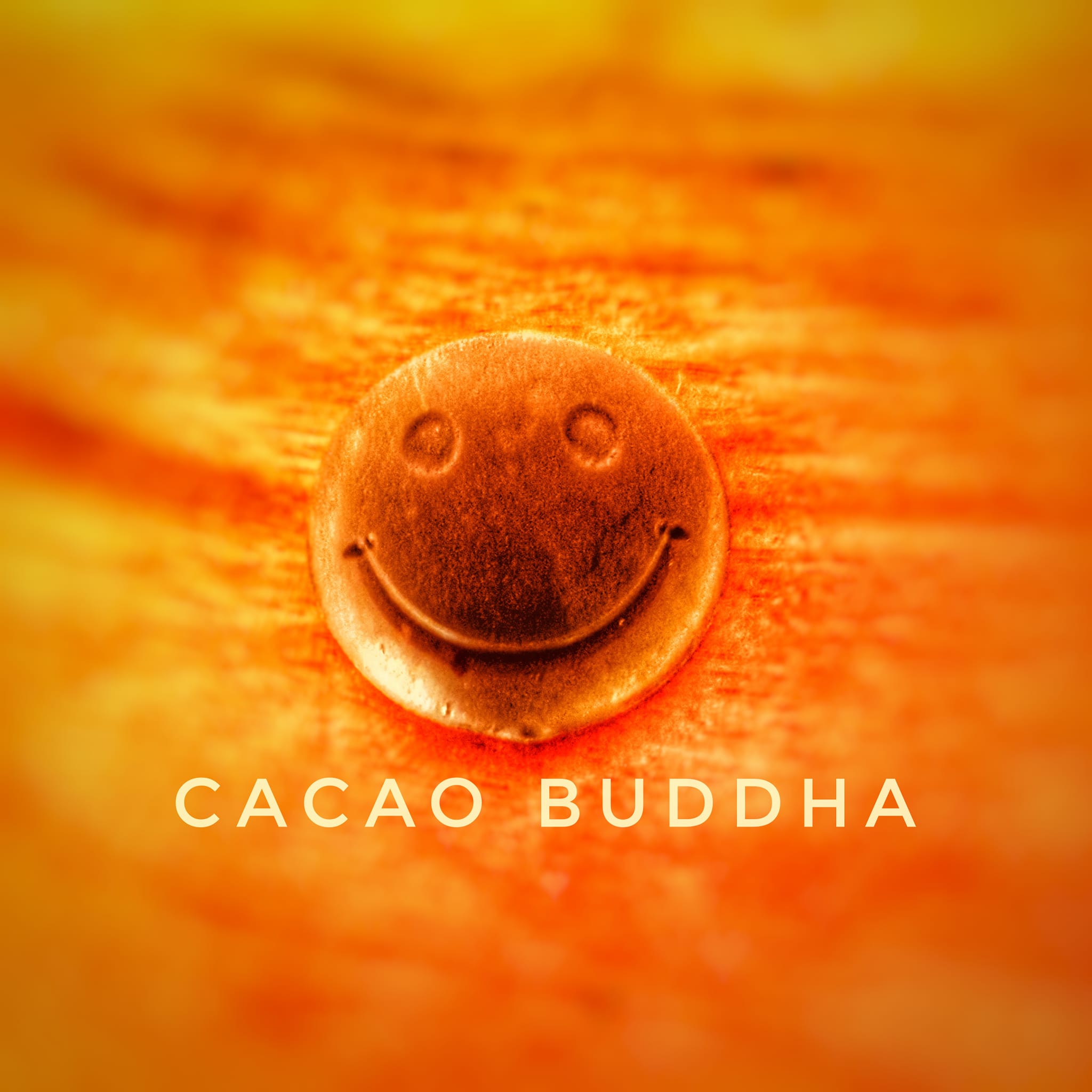 cacao Buddha cerimonia e iniziazioni